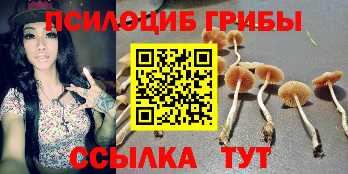 Псилоцибиновые грибы прущие грибы  Вход с VPN  Дербент 